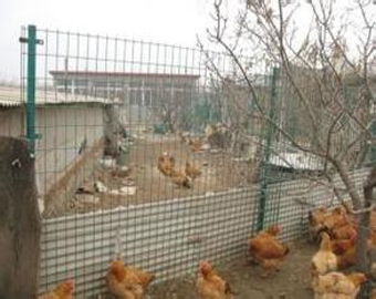 散养鸡围栏